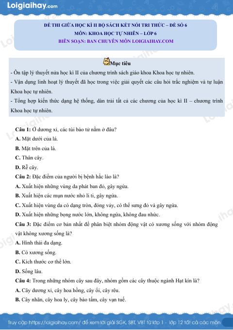 Đề thi giữa học kì 2 KHTN 6 Kết nối tri thức - Đề số 6